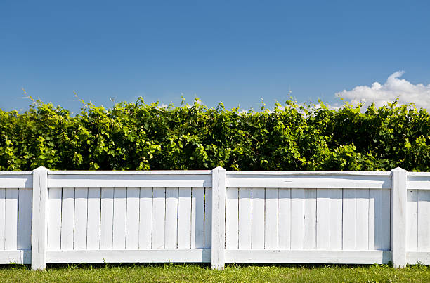white vinyl fence for a client ni Greenwich, CT